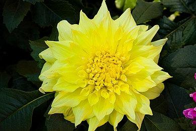 奇幻塔科夫《Dark and Darker》宣布试玩延长3天